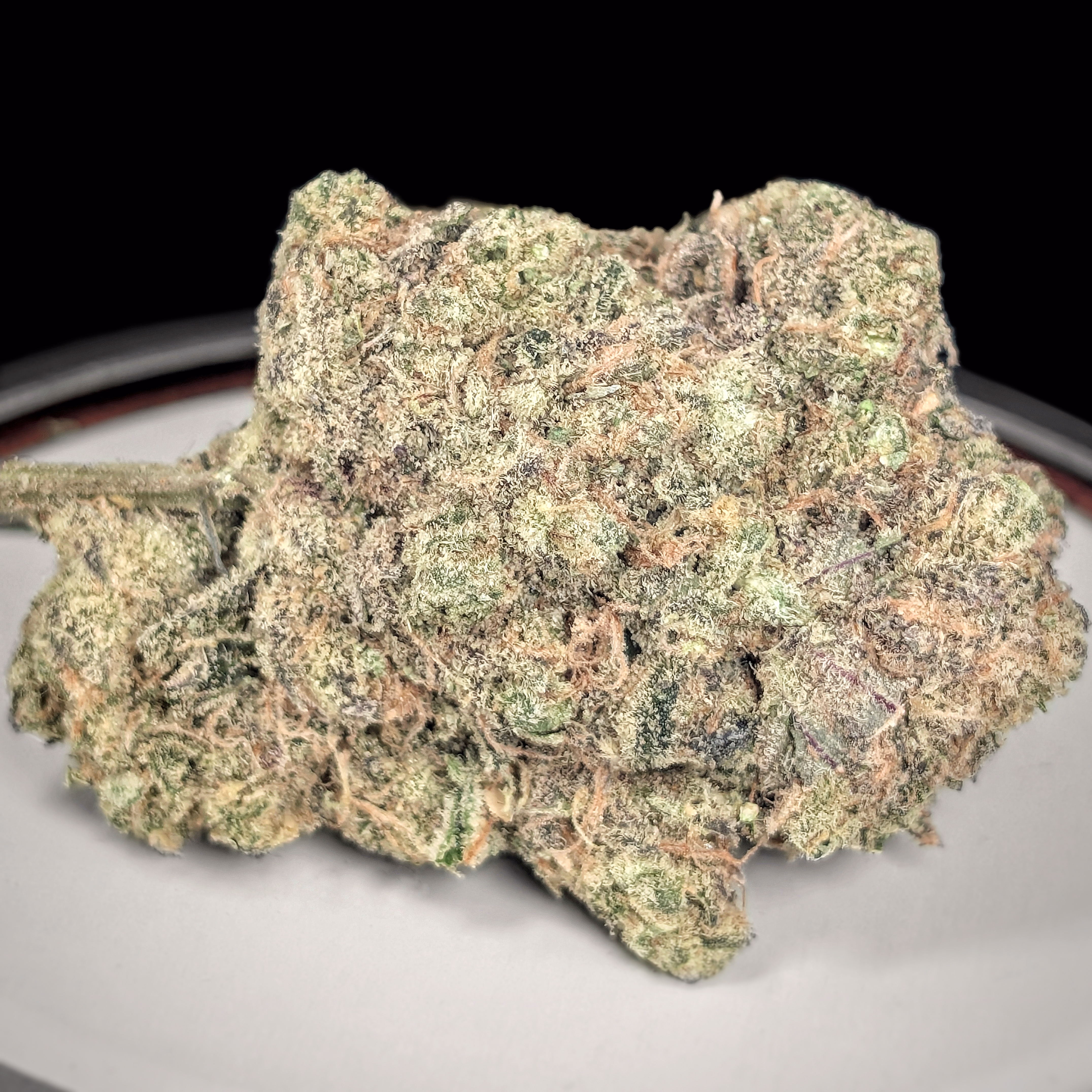 **NEW**🏄 🔥 🏄‍♀️ Wet Dream pr $205oz / $120½oz